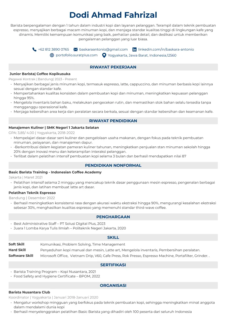 Template CV ATS 09